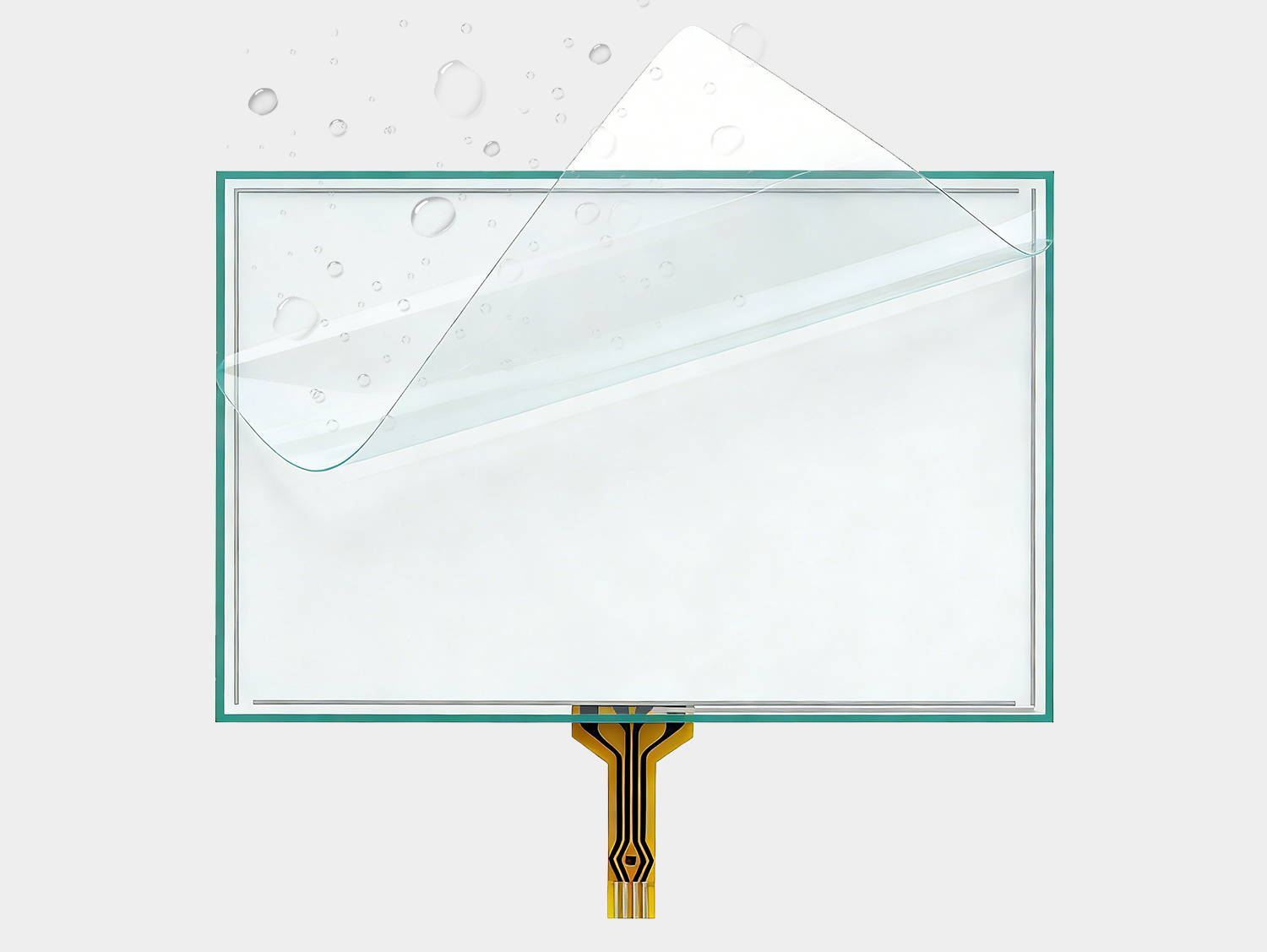 Function And Structure