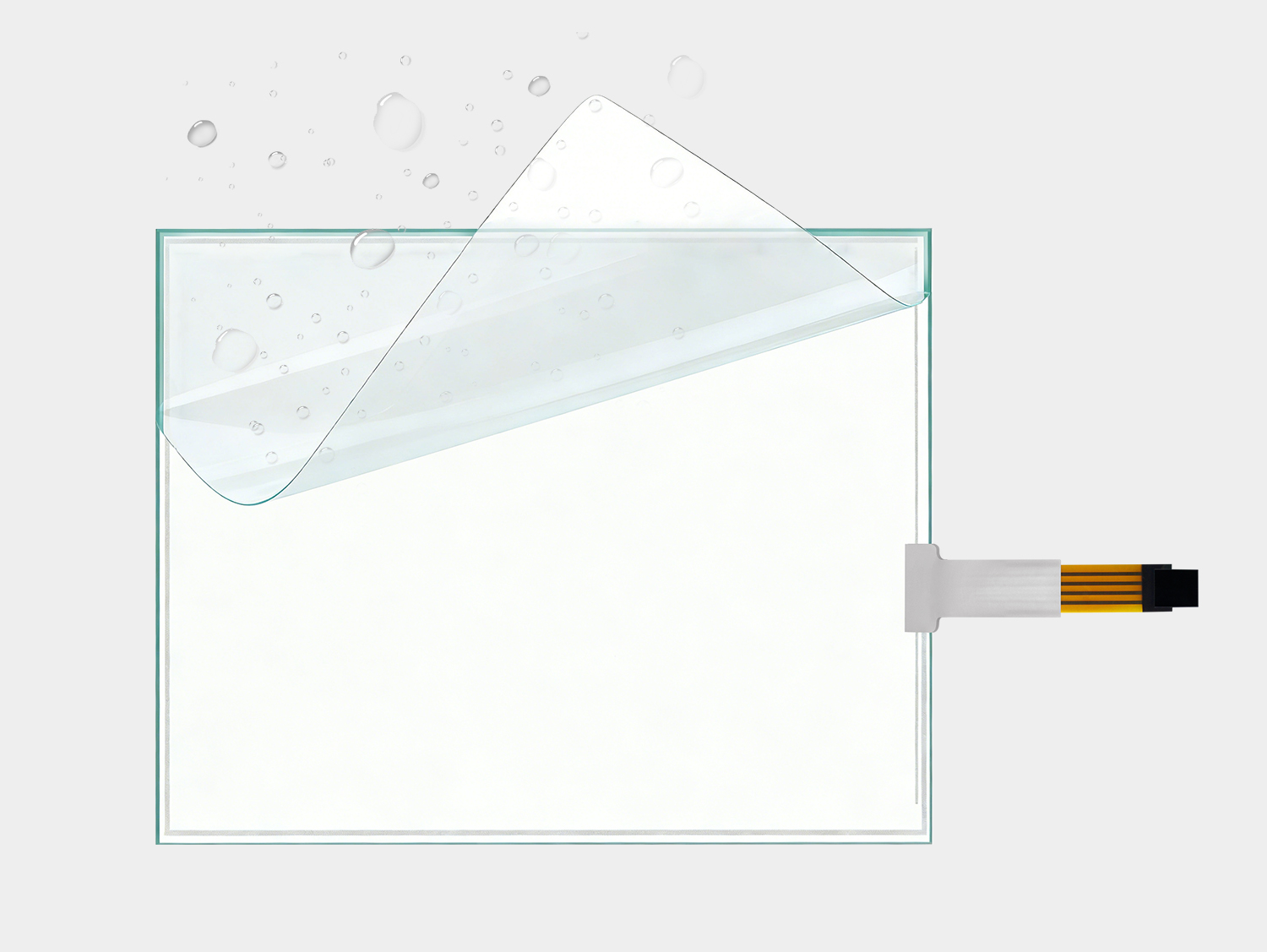 Function And Structure