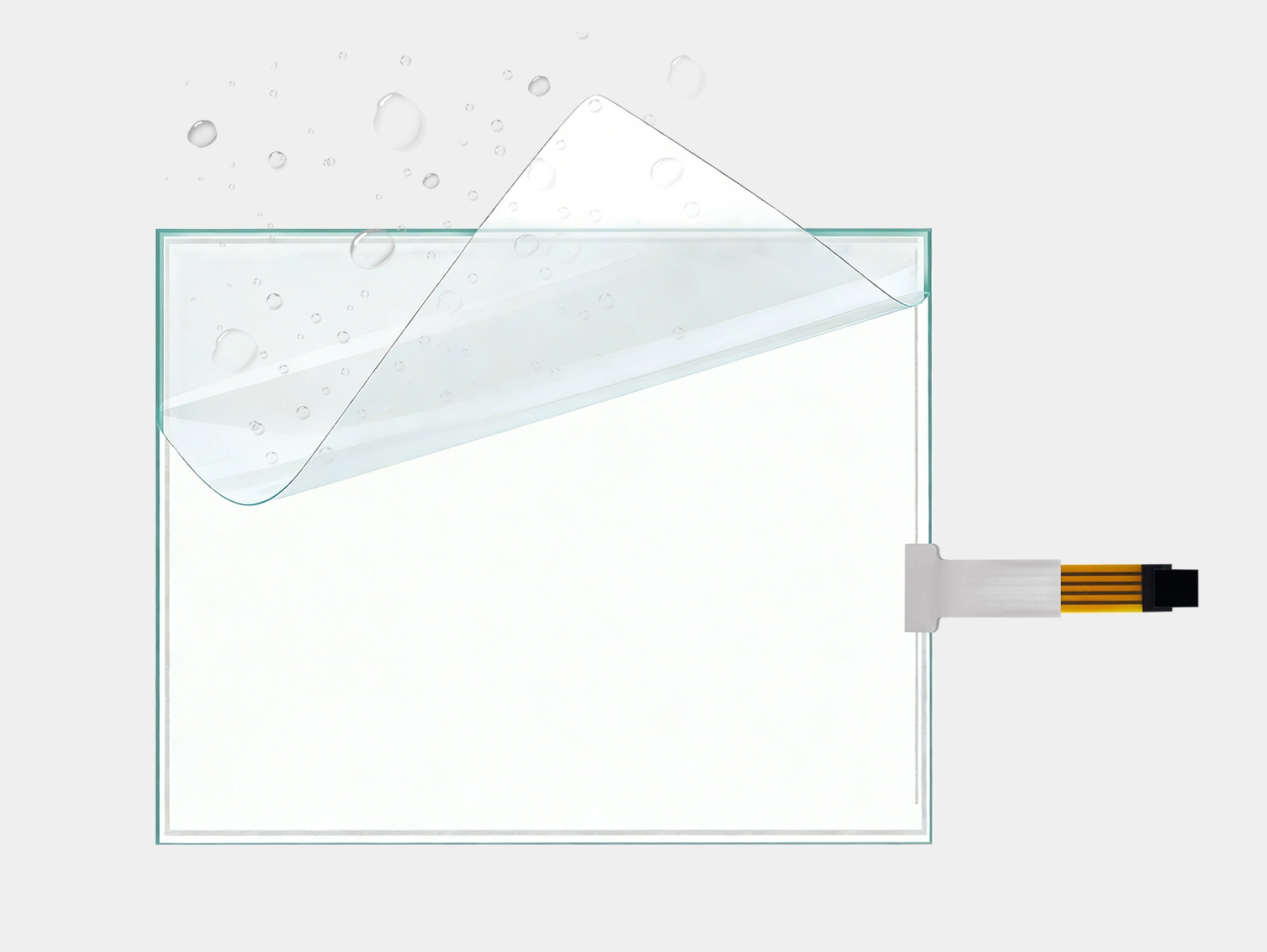 Function And Structure