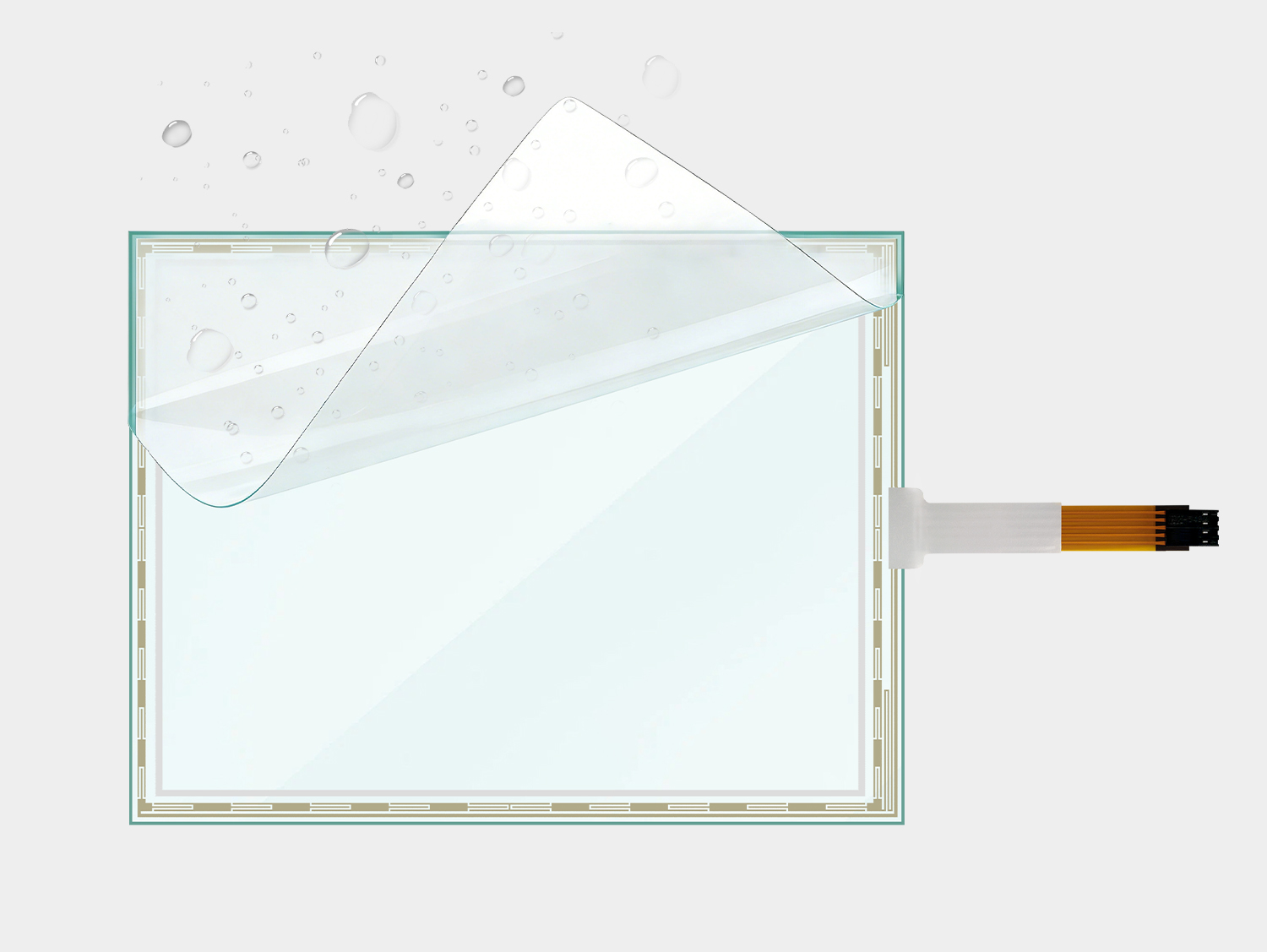 Function And Structure