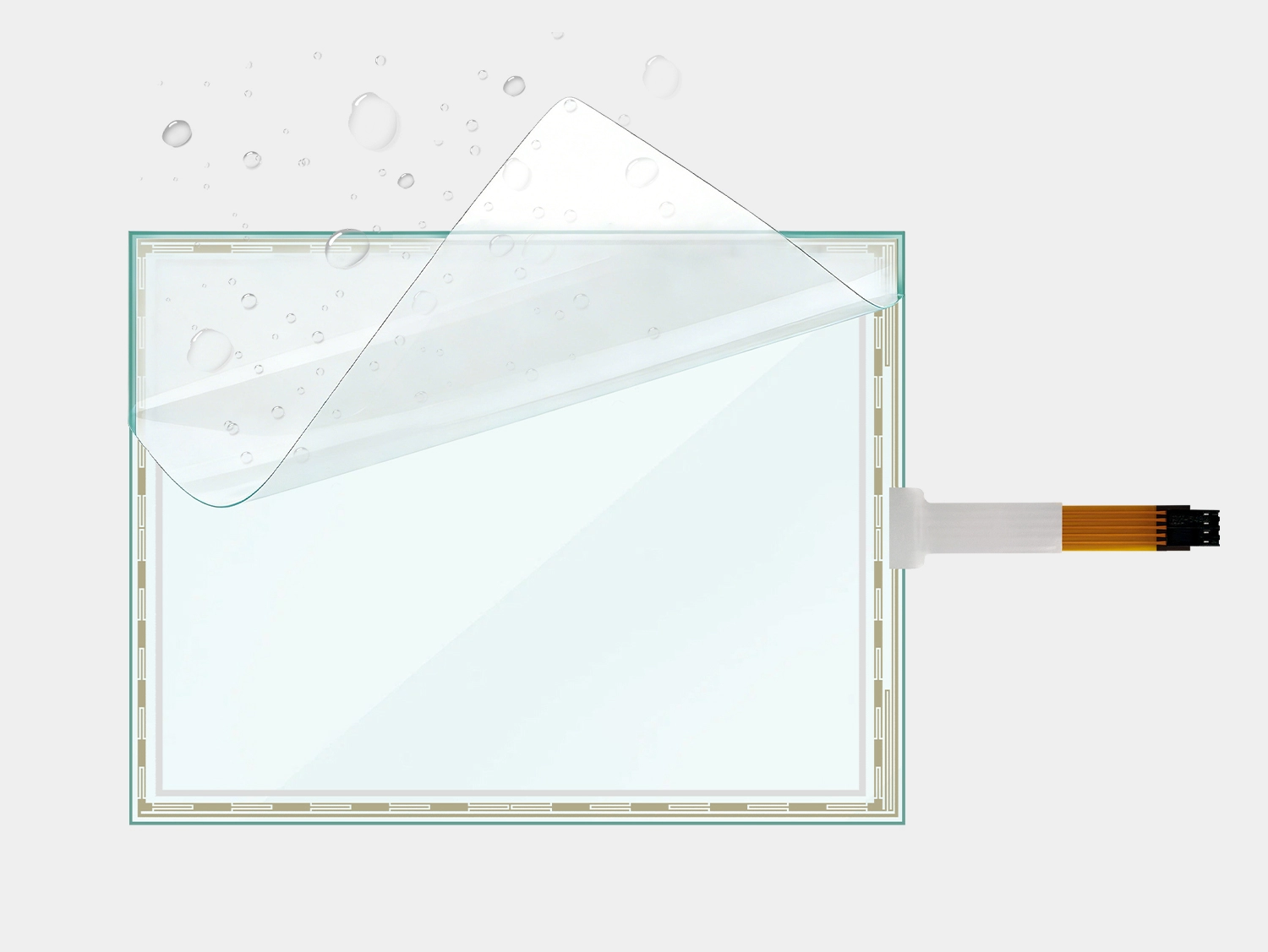 Function And Structure