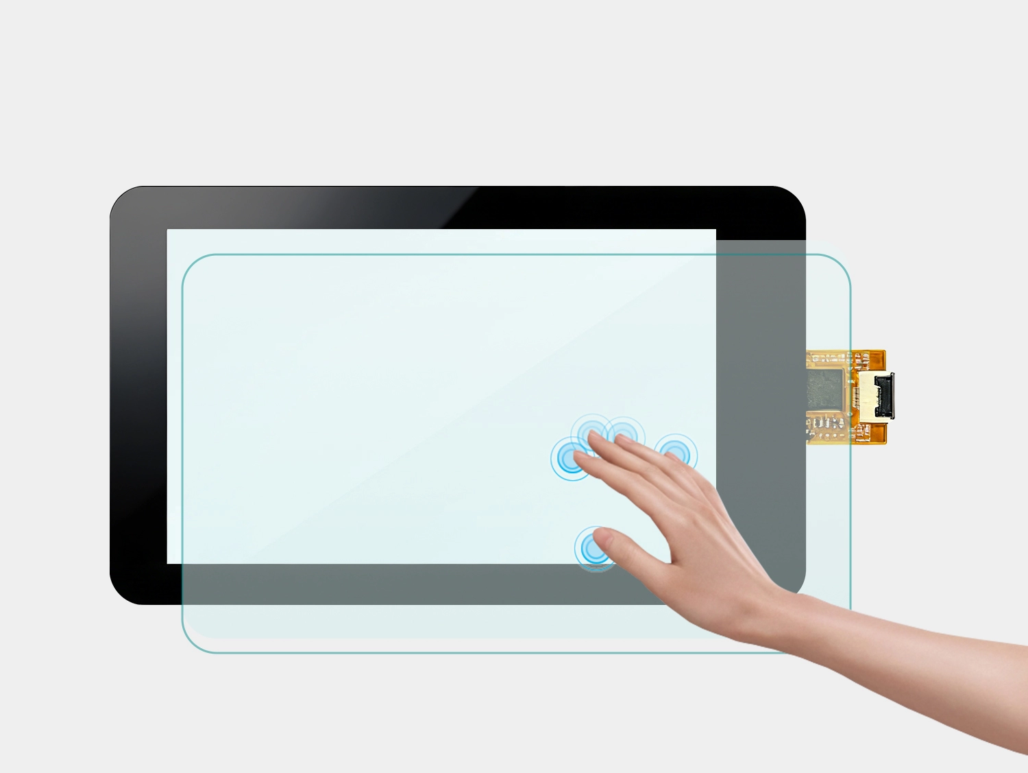 Function And Structure