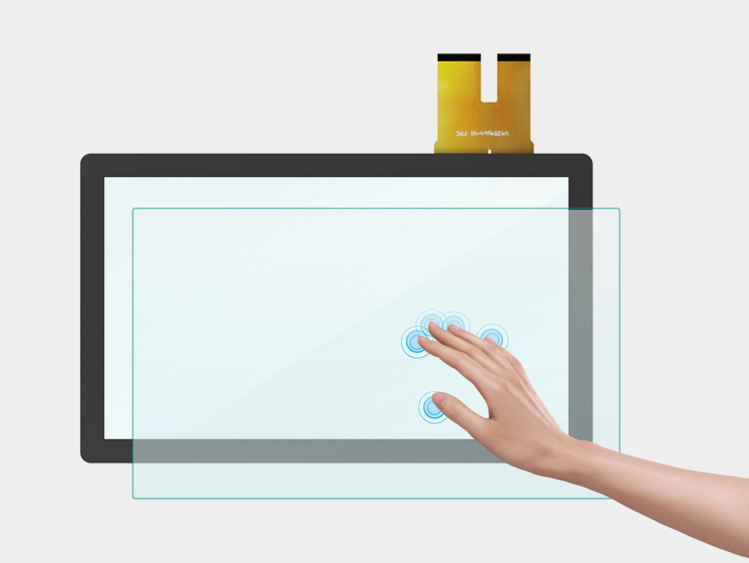 Function And Structure