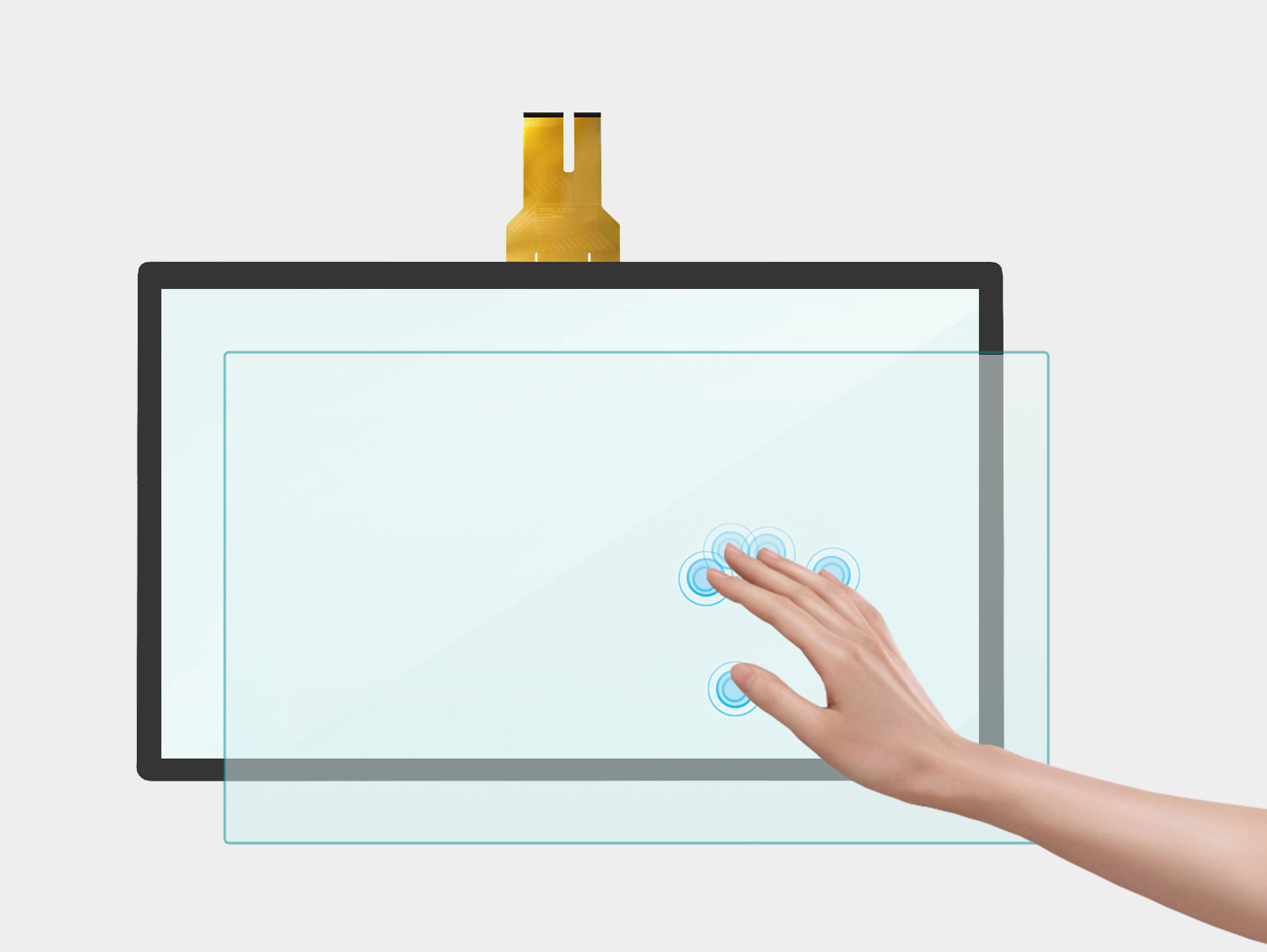 Function And Structure