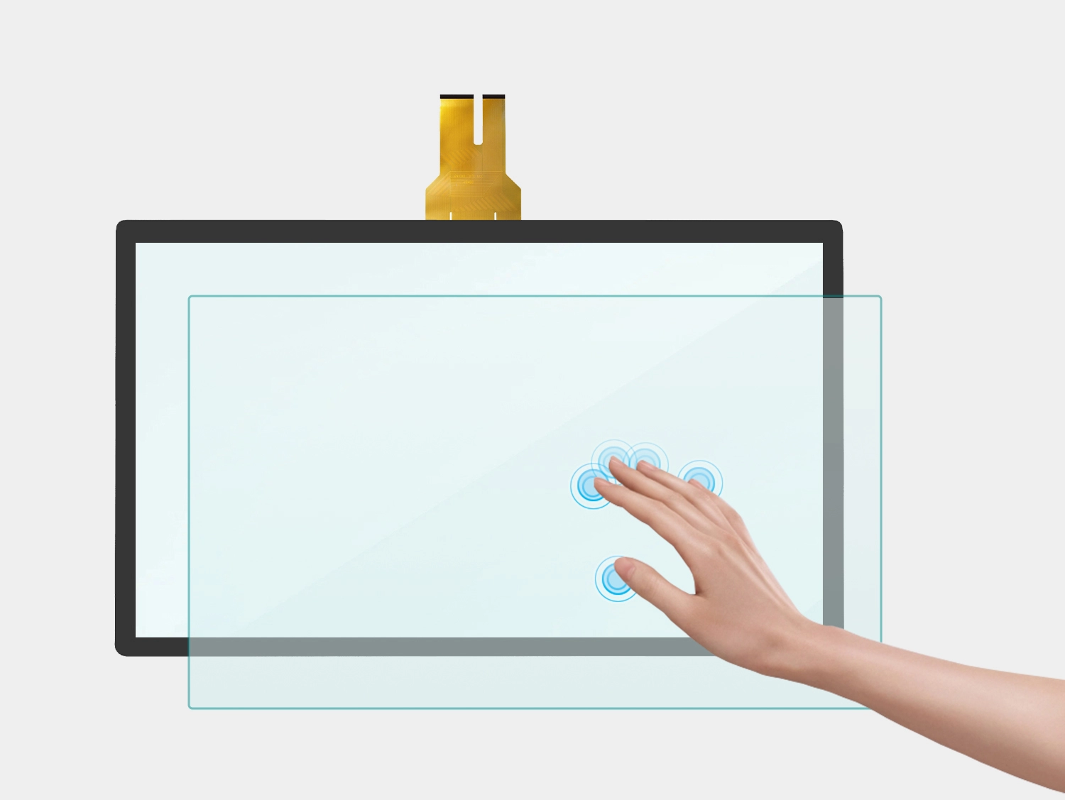 Function And Structure