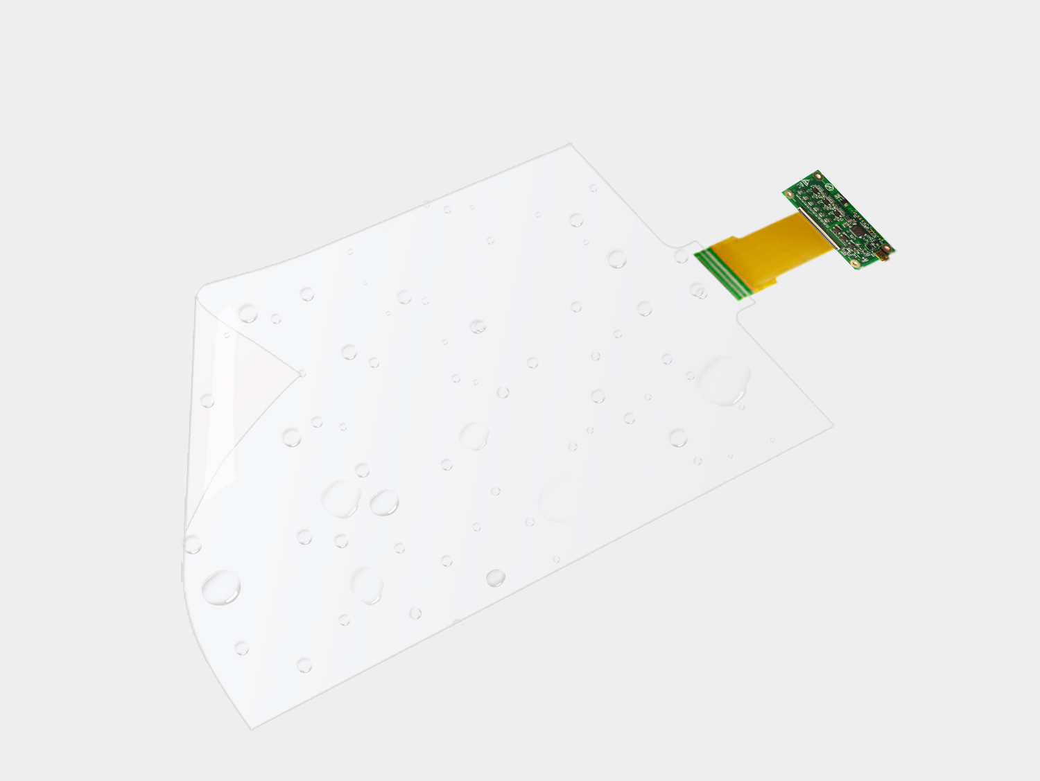 Function And Structure