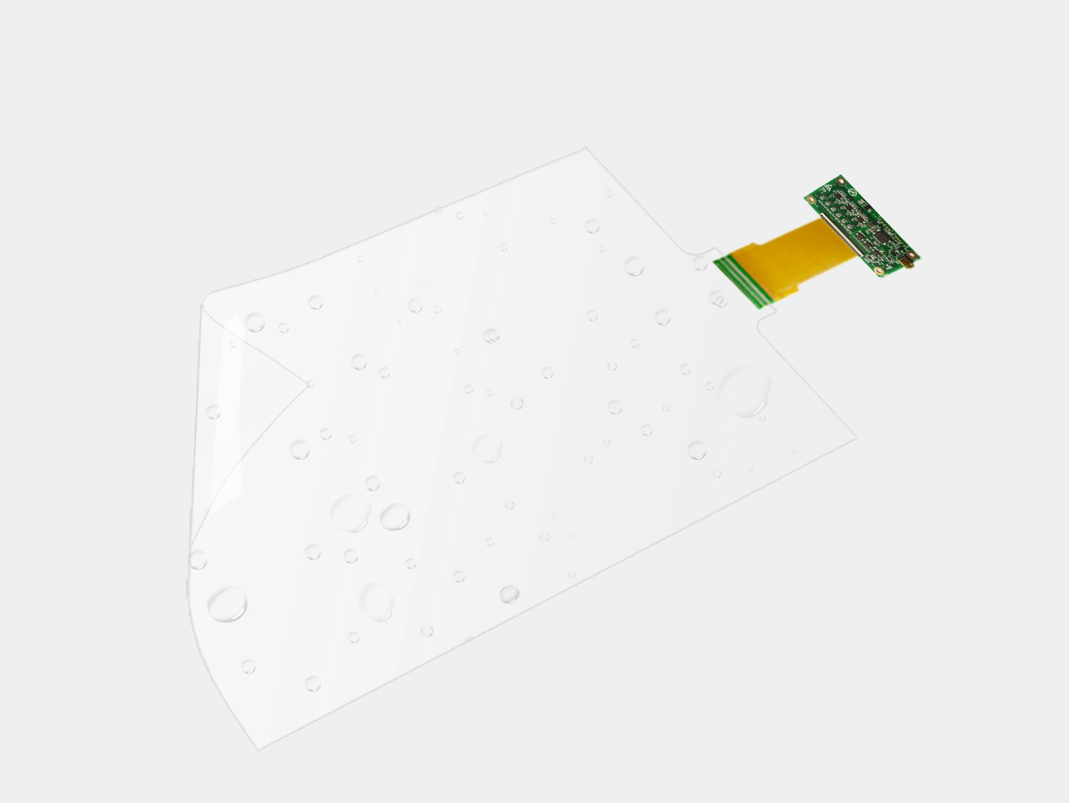 Function And Structure