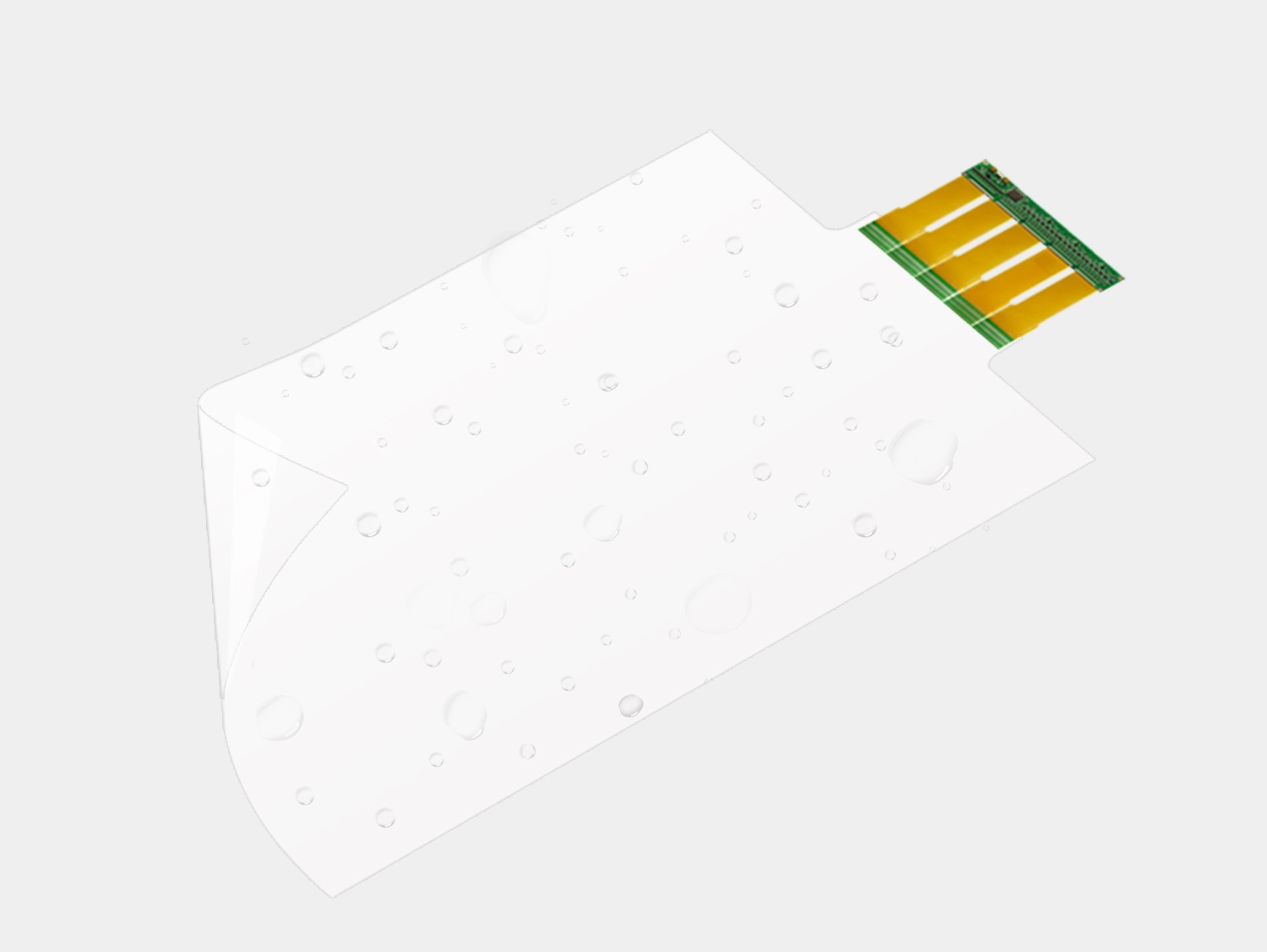 Function And Structure